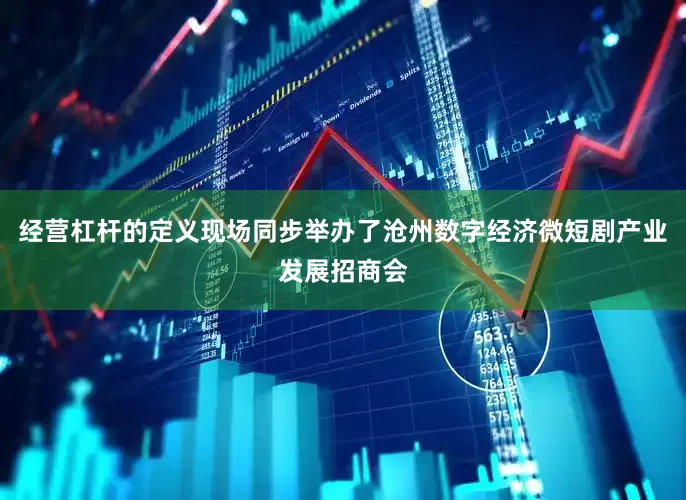 经营杠杆的定义现场同步举办了沧州数字经济微短剧产业发展招商会